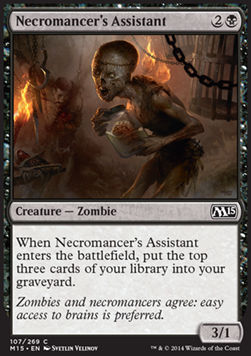 Necromancer's Assistant
