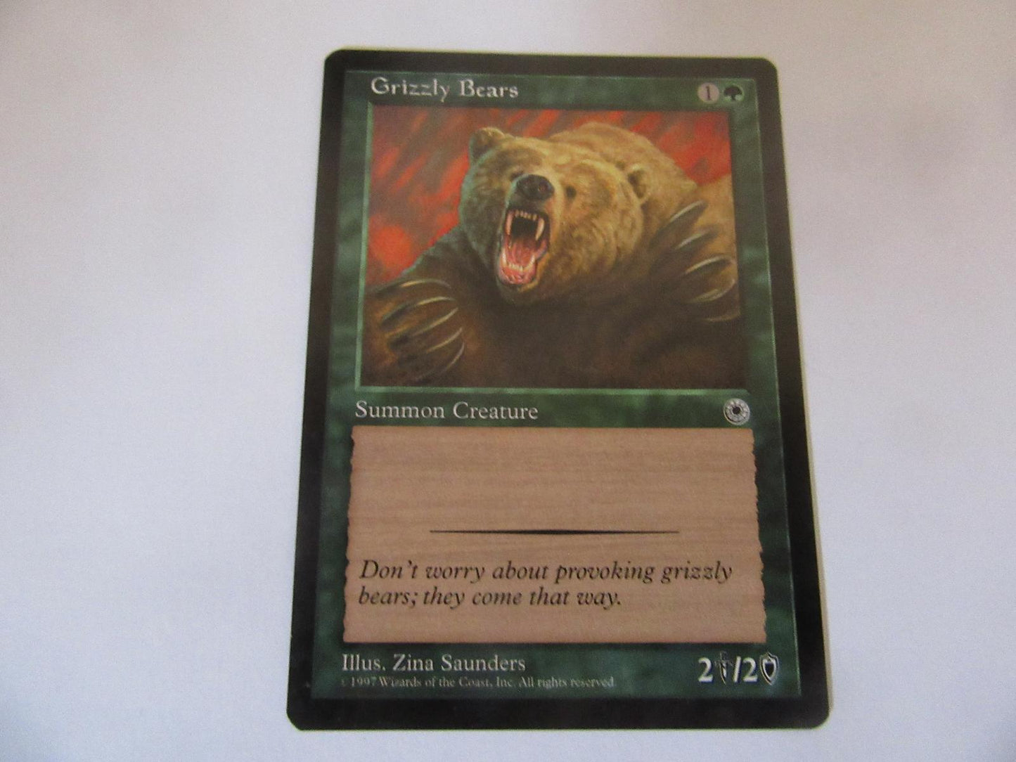 Grizzly Bears Portal NM