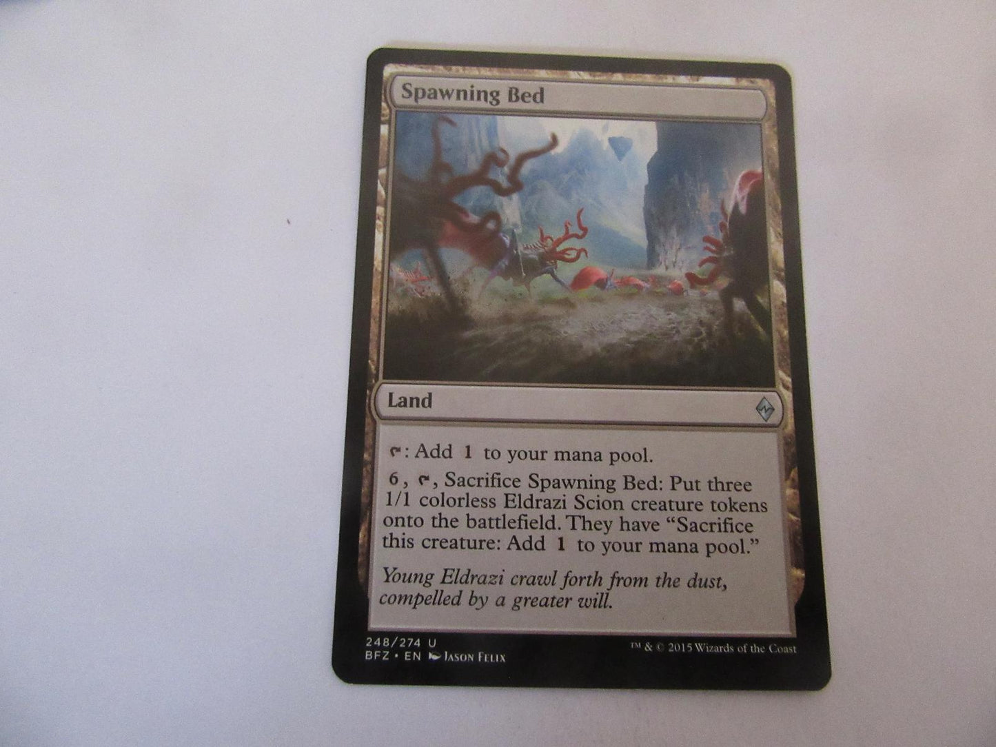 Spawning Bed 248 Battle for Zendikar NM
