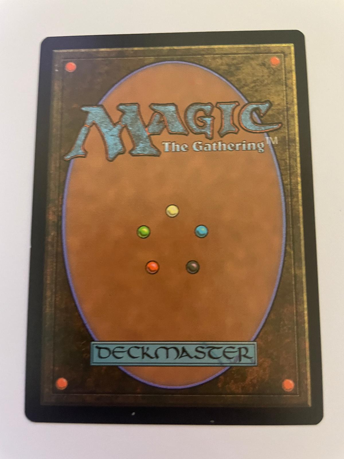 Devoted Duelist 104 Common Tarkir: Dragonstorm Magic: The Gathering Near Mint