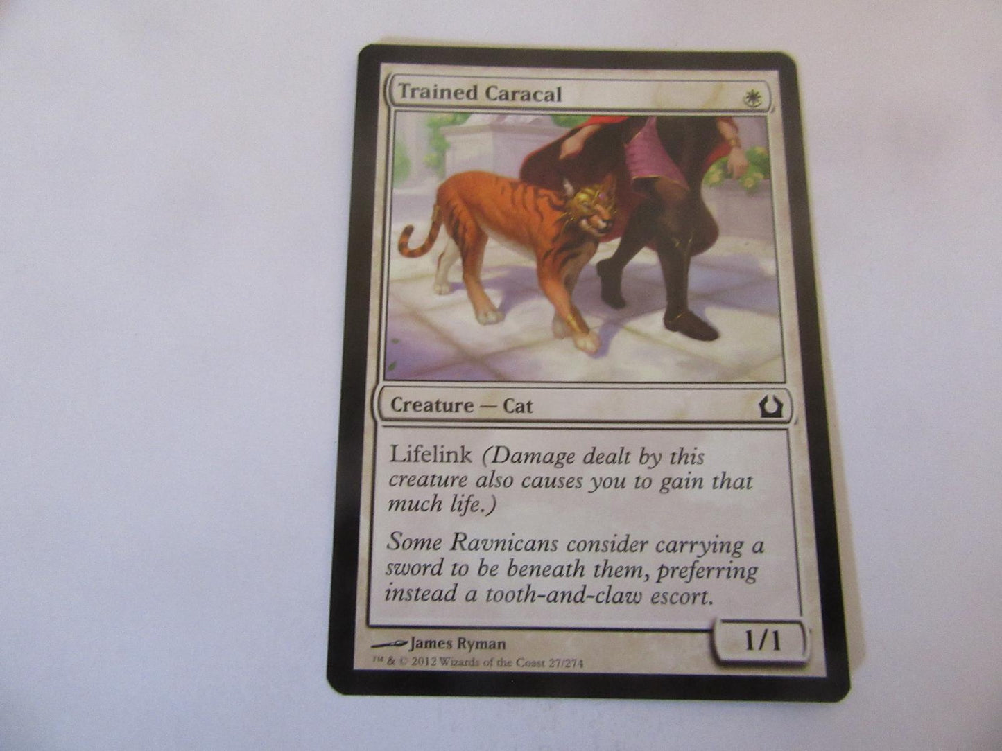 Trained Caracal 27 Return to Ravnica NM