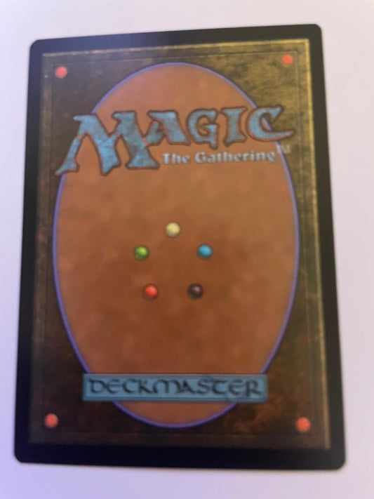 Watcher of the Wayside 249 Common Tarkir: Dragonstorm Magic: The Gathering NM