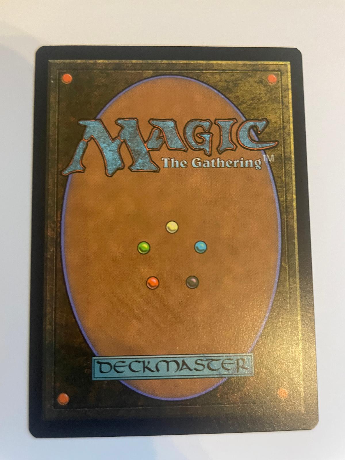 Evolving Wilds 255 Tarkir: Dragonstorm NM
