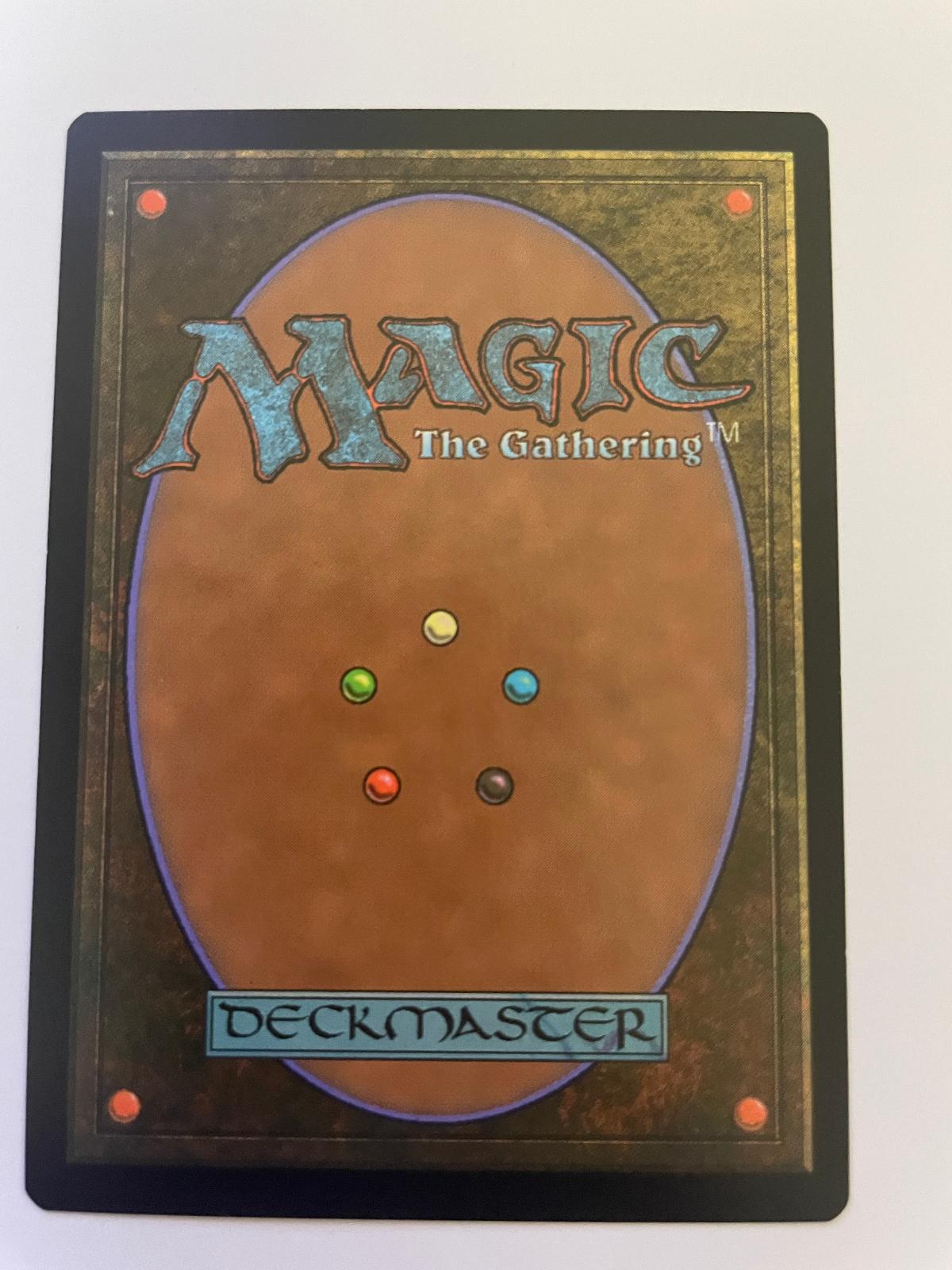 Boulderborn Dragon 239 Common Tarkir: Dragonstorm Magic: The Gathering Near Mint