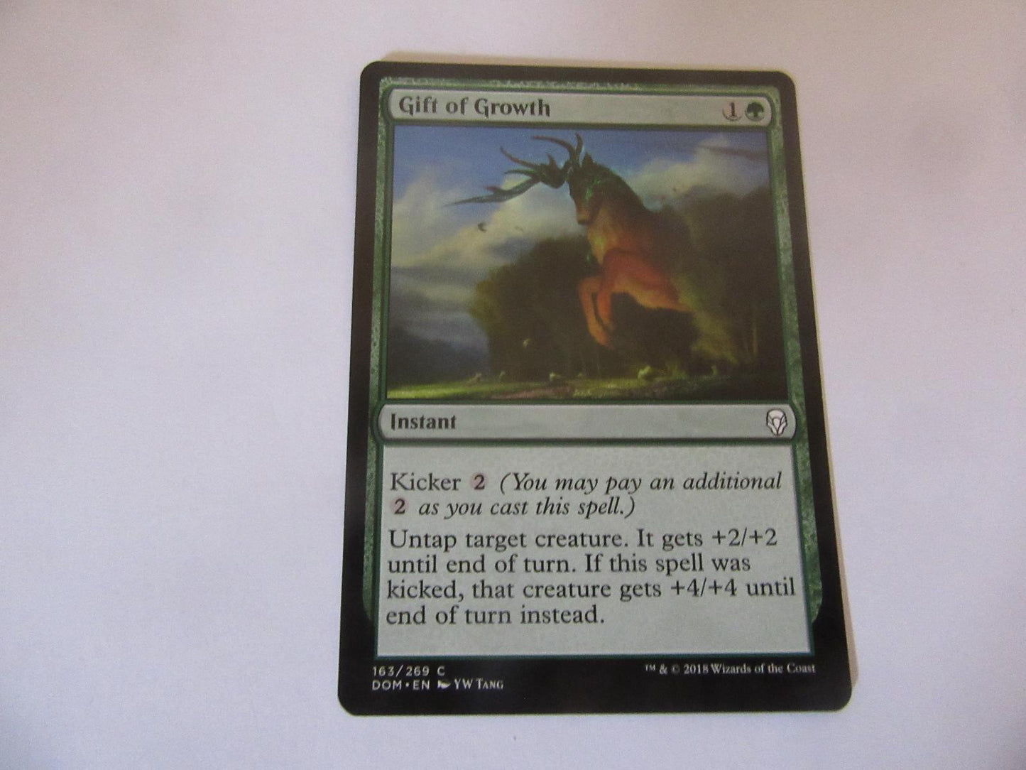 Gift of Growth 163 Dominaria NM