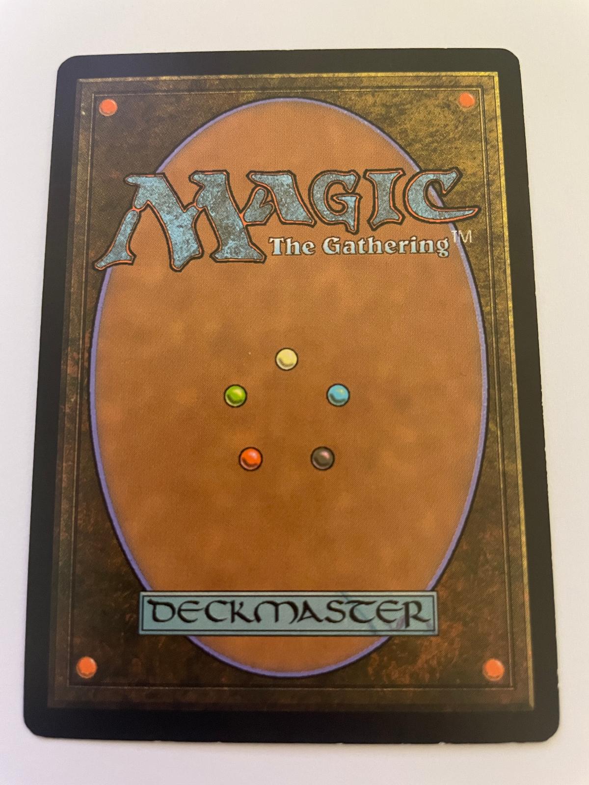 Deadly Recluse 165 Common Magic 2013 (M13) Magic: The Gathering Near Mint