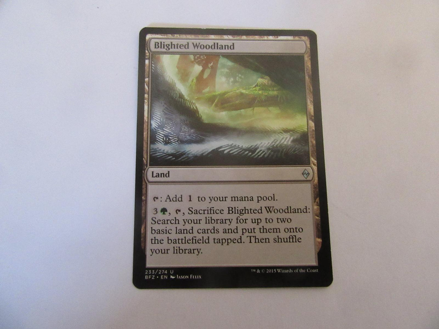 Blighted Woodland 233 Battle for Zendikar NM
