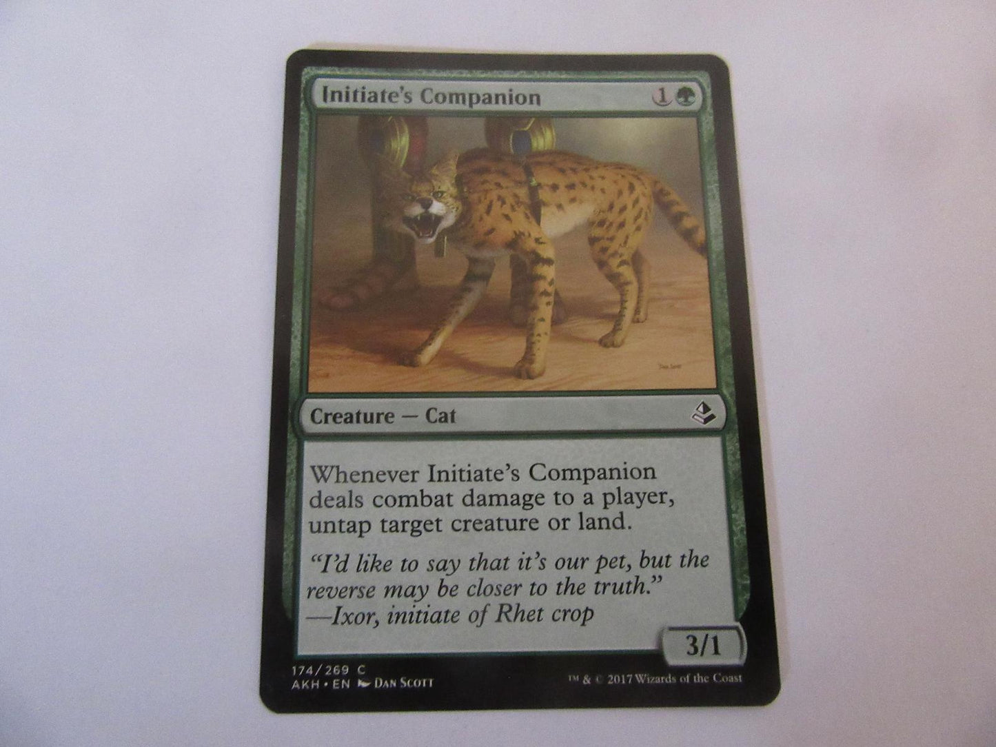 Initiate's Companion 174 Amonkhet NM