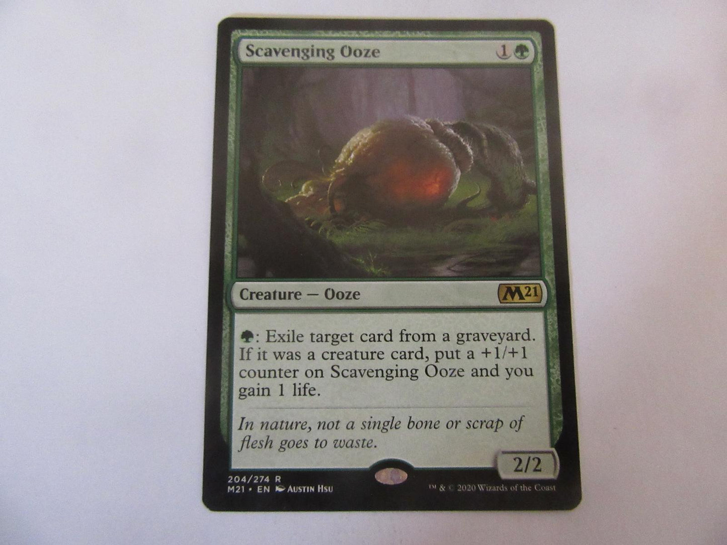 Scavenging Ooze 204 Core Set 2021 NM