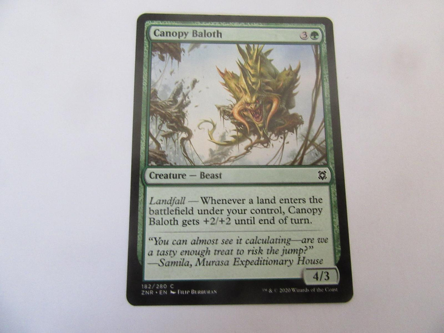Canopy Baloth 182 Zendikar Rising NM