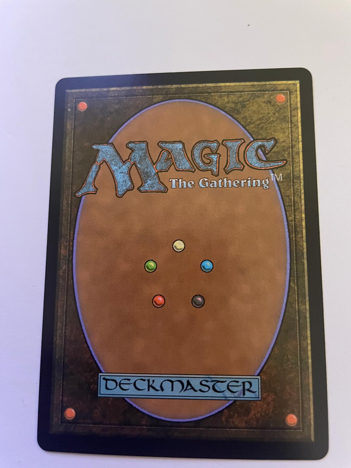 Walltop Sentries 202 Common Avatar: The Last Airbender Magic: The Gathering NM