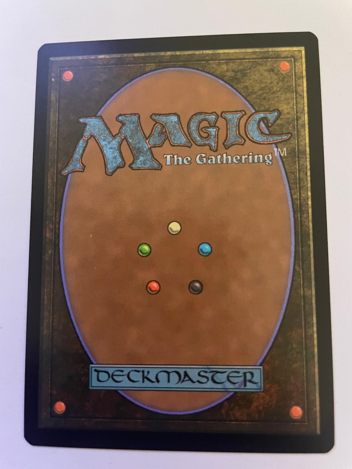 Shore Up 64 Common Dominaria United Magic: The Gathering Near Mint