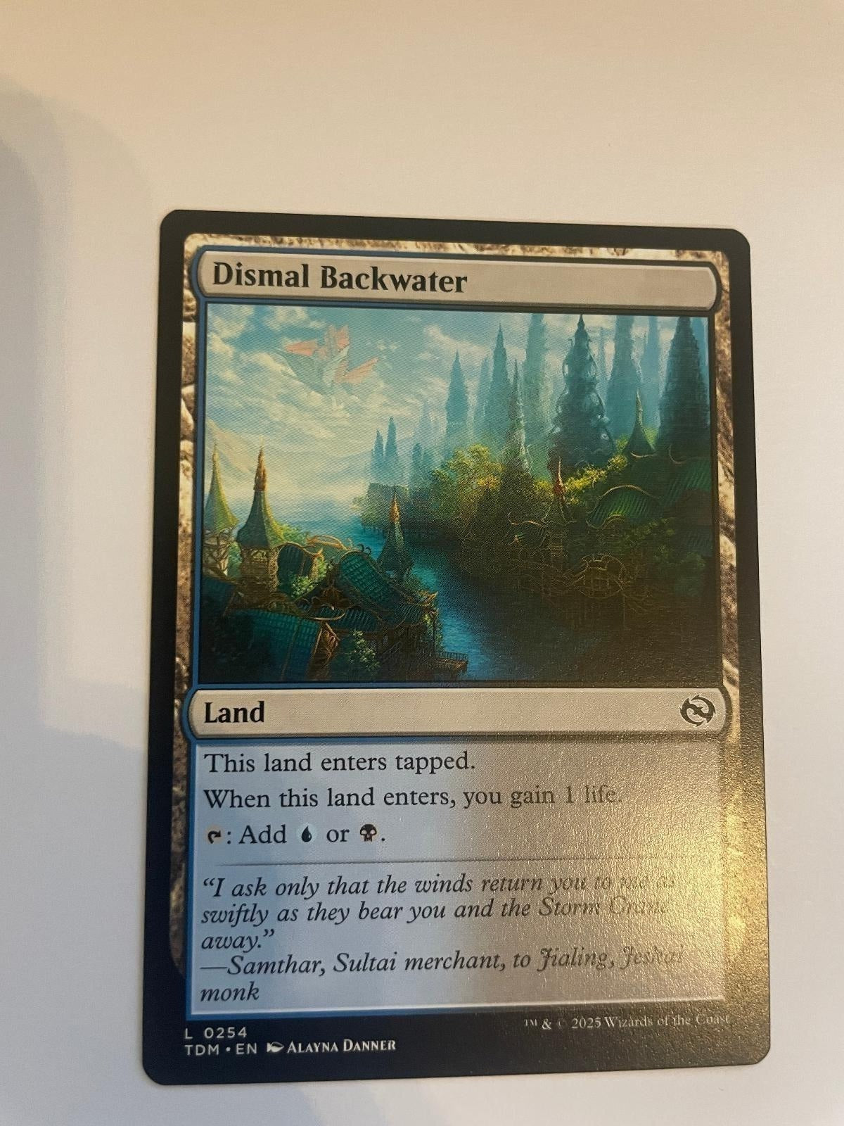 Forest (0281) 281 Secrets of Strixhaven SOS NM