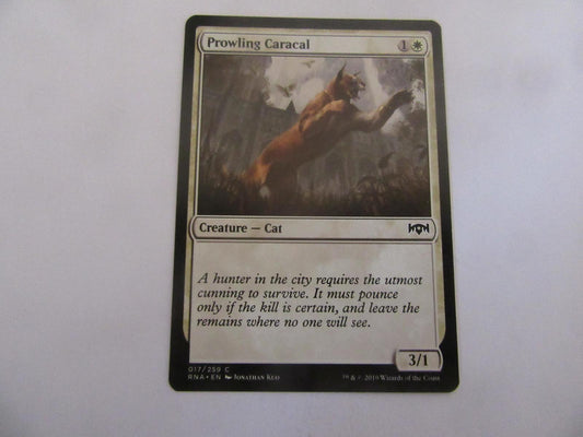 Prowling Caracal 17 Ravnica Allegiance NM