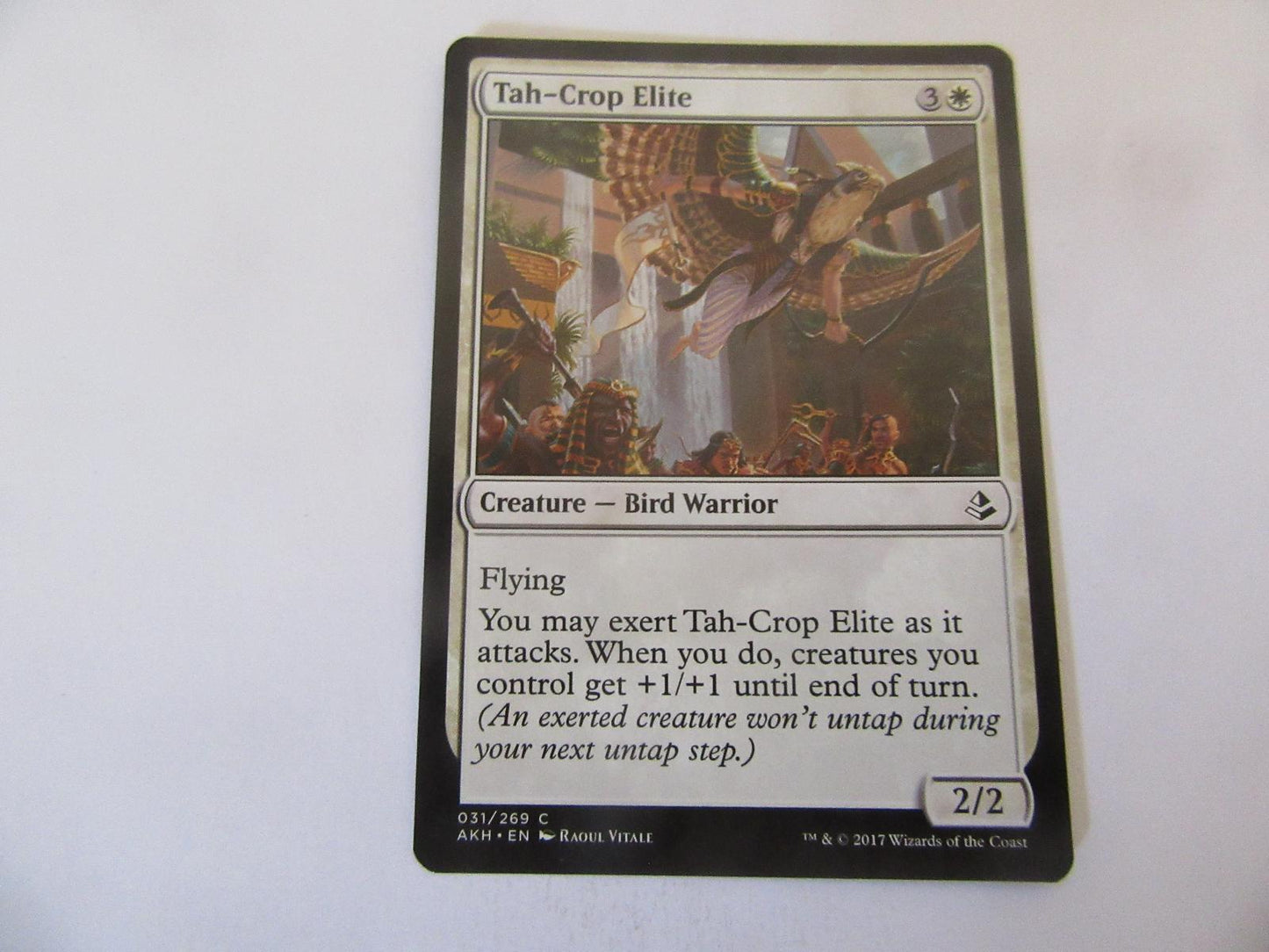 Tah-Crop Elite 31 Amonkhet NM