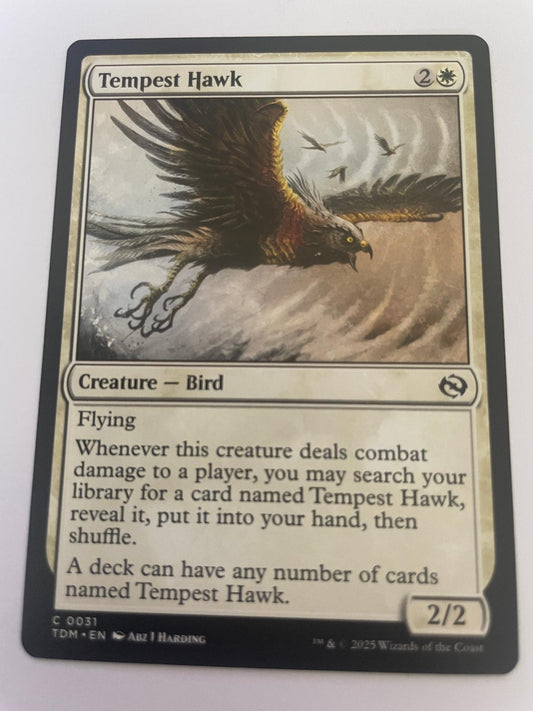 Tempest Hawk 31 Common Tarkir: Dragonstorm Magic: The Gathering Near Mint