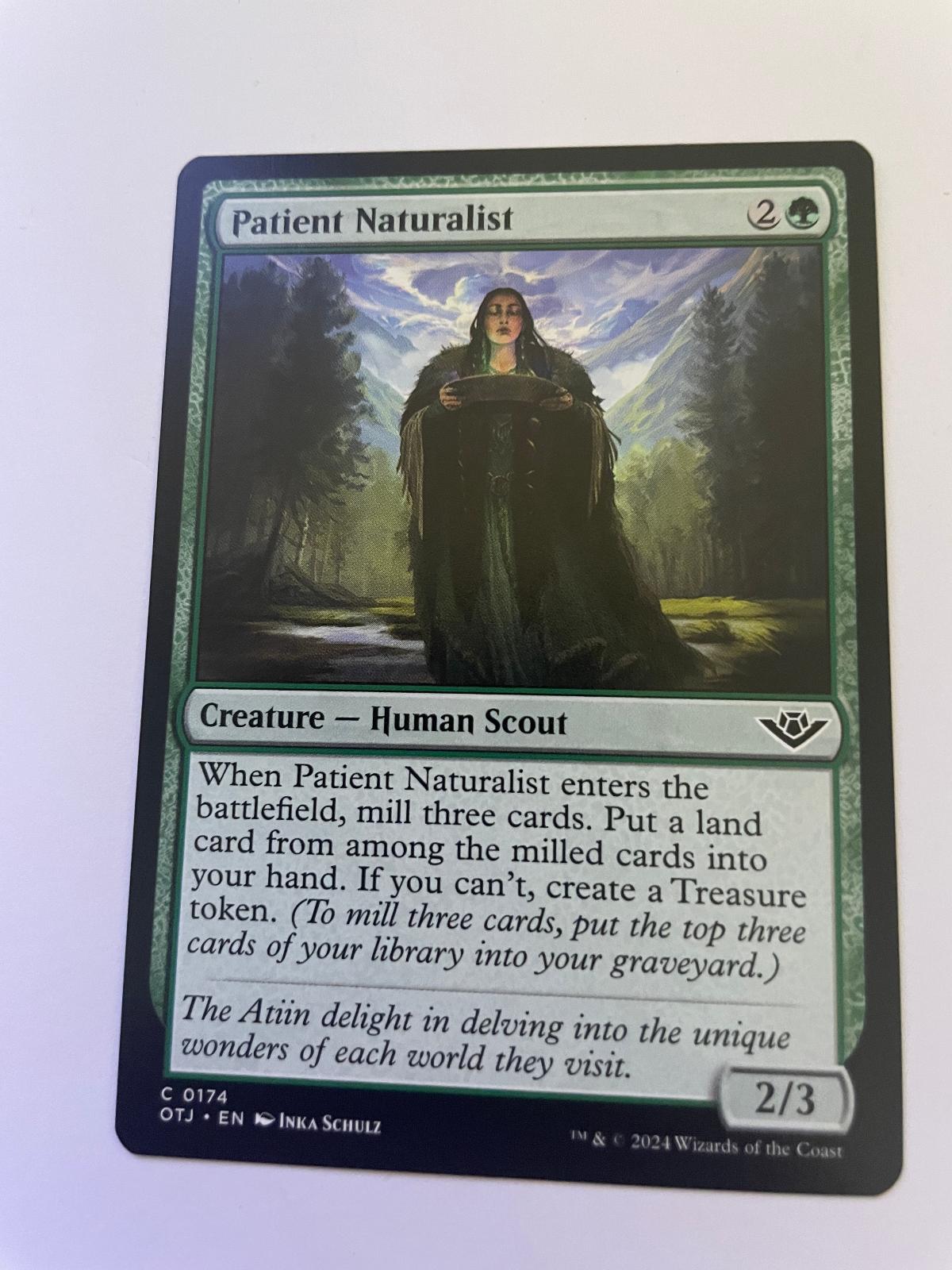 Patient Naturalist 174 Outlaws of Thunder Junction Magic: The Gathering NM