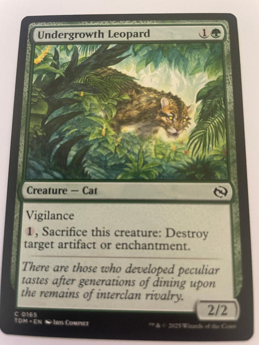Undergrowth Leopard 165 Common Tarkir: Dragonstorm Magic: The Gathering NM