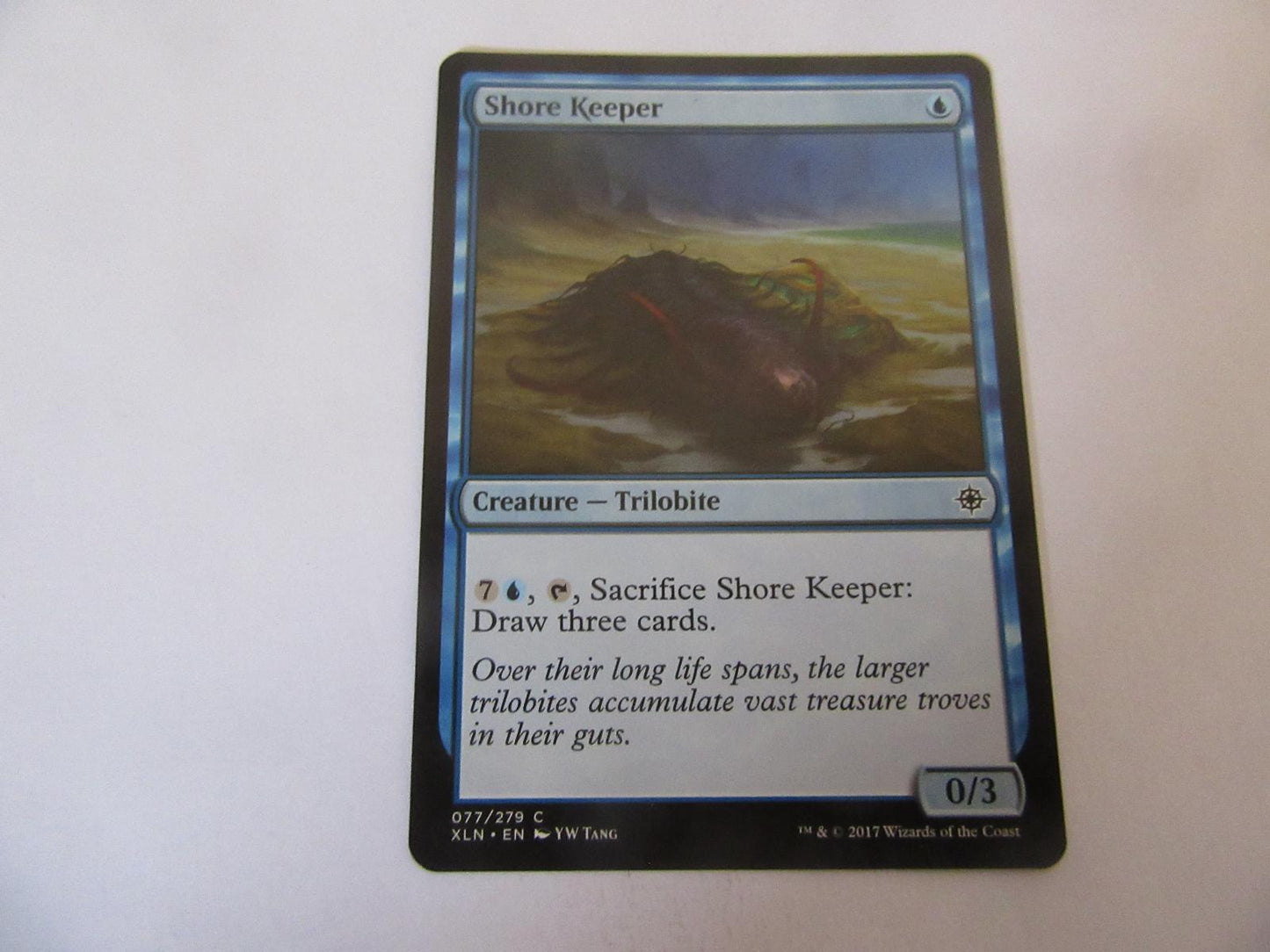 Shore Keeper 77 Ixalan NM