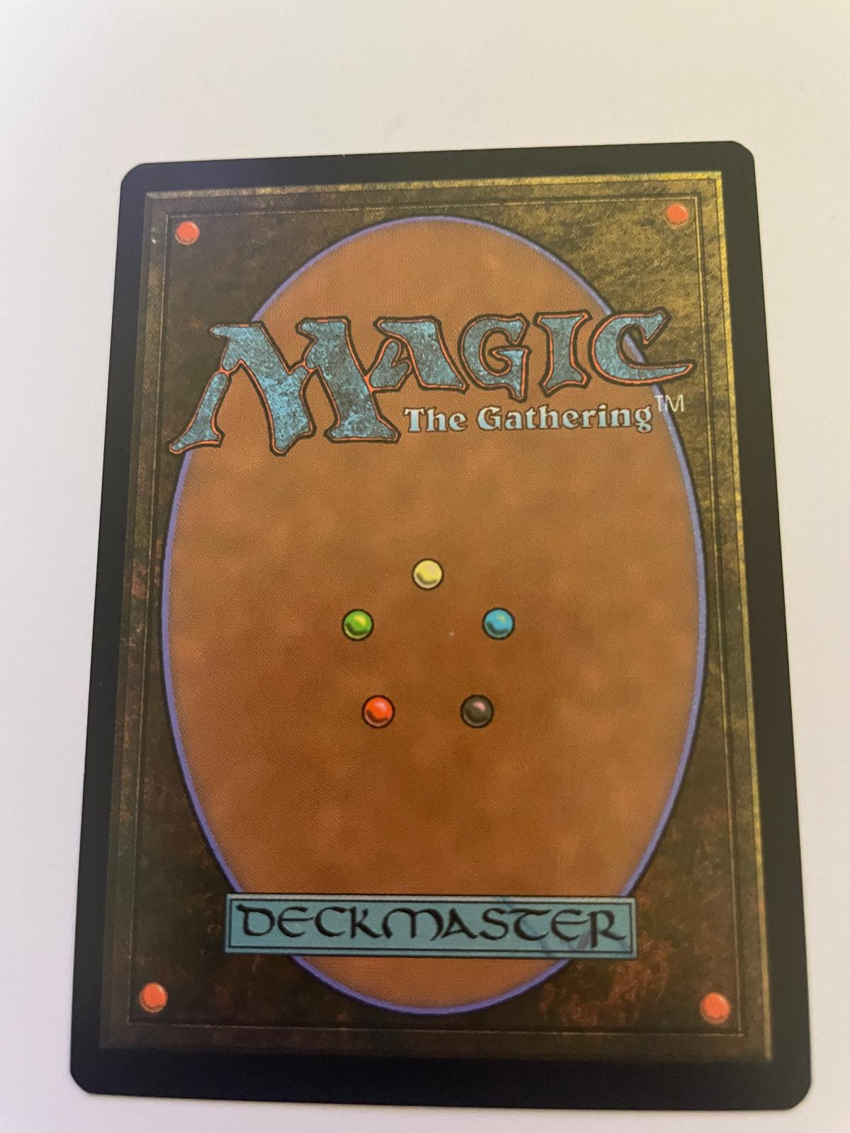 Floriferous Vinewall 163 Common Dominaria United Magic: The Gathering Near Mint