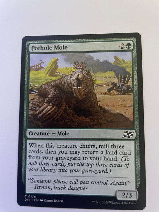 Pothole Mole 176 Common Aetherdrift Magic: The Gathering Near Mint