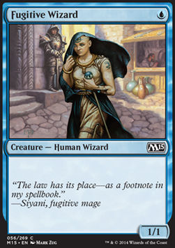 Fugitive Wizard