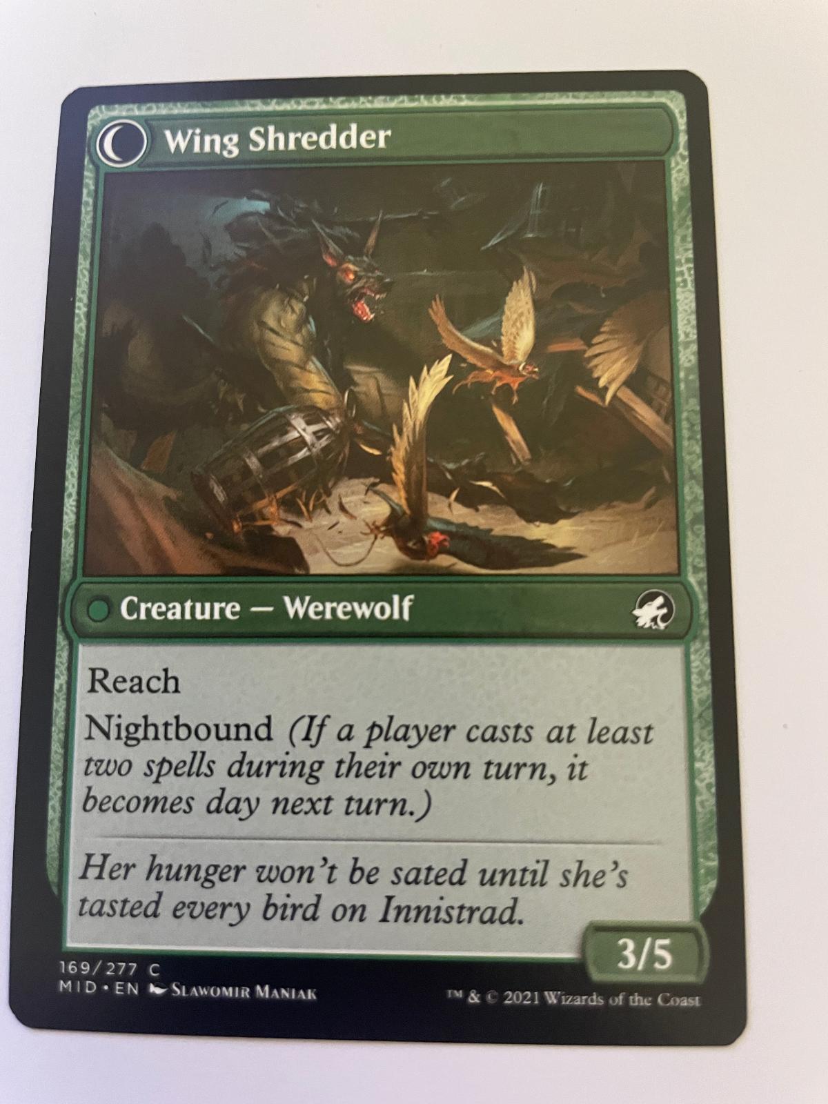 Bird Admirer 169 Common Innistrad: Midnight Hunt Magic: The Gathering Near Mint
