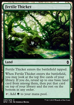 Fertile Thicket