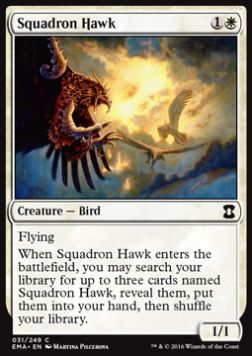 Squadron Hawk