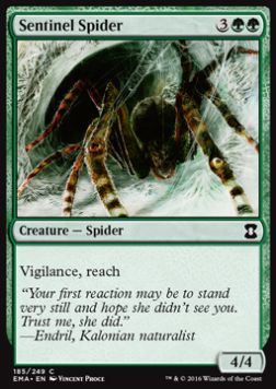 Sentinel Spider