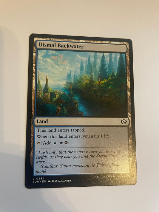 Dismal Backwater 254 Tarkir: Dragonstorm NM