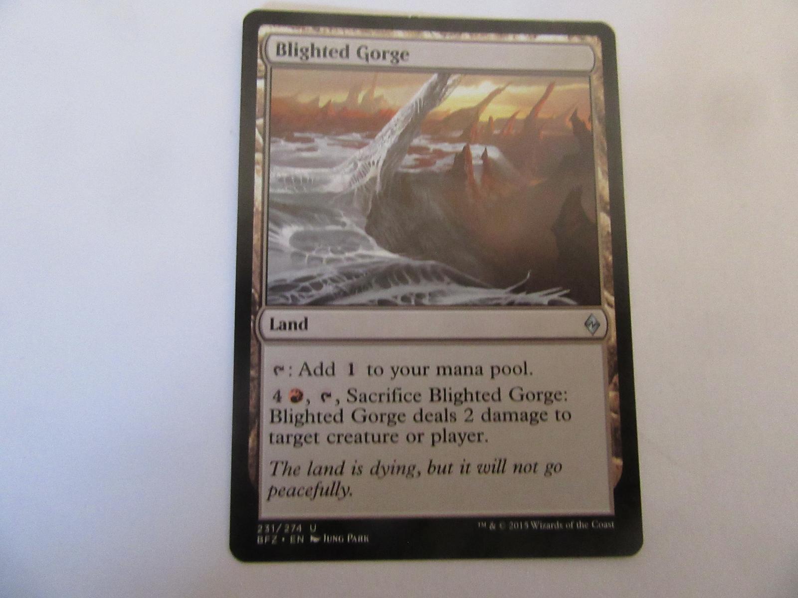 Blighted Gorge 231 Battle for Zendikar NM