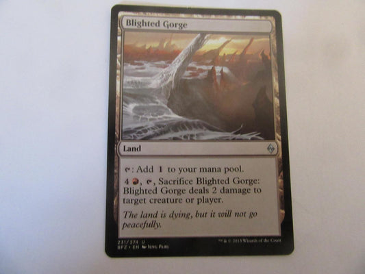 Blighted Gorge 231 Battle for Zendikar NM