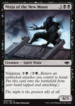 Ninja of the New Moon