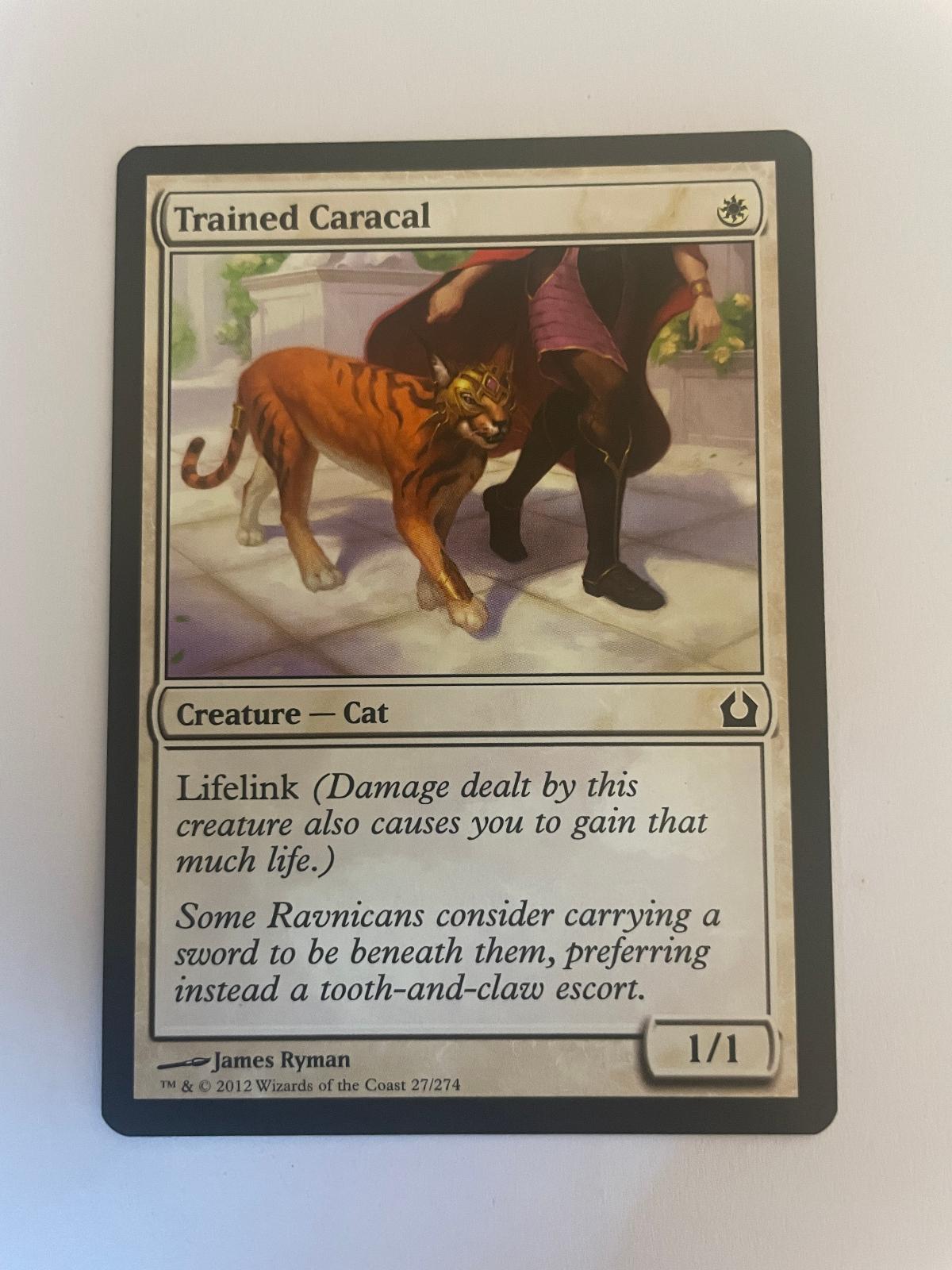 Trained Caracal 27 Return to Ravnica RTR NM