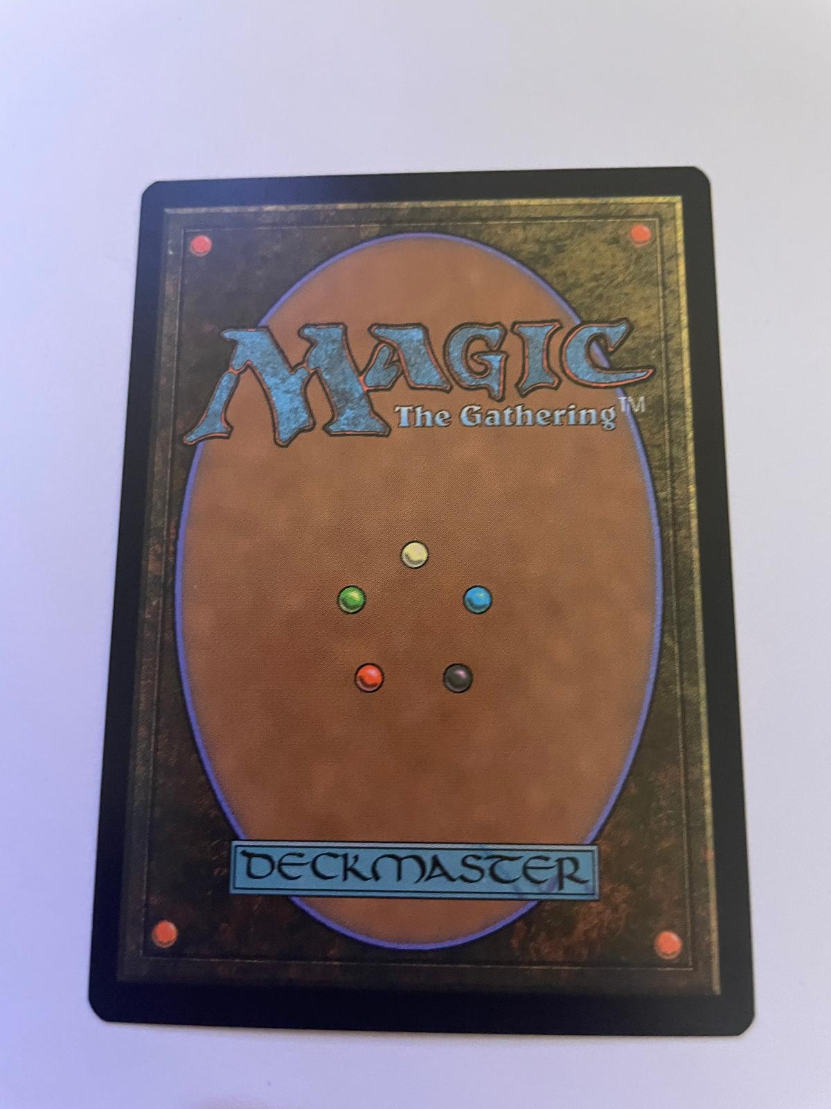 Tumbleweed Rising 187 Common Outlaws of Thunder Junction Magic: The Gathering NM