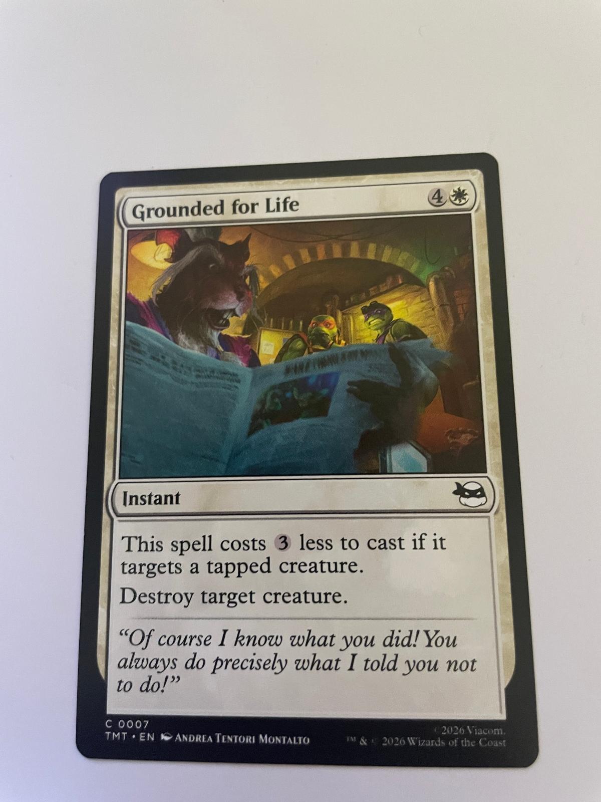 Grounded for Life 0007 Teenage Mutant Ninja Turtles Magic: The Gathering NM