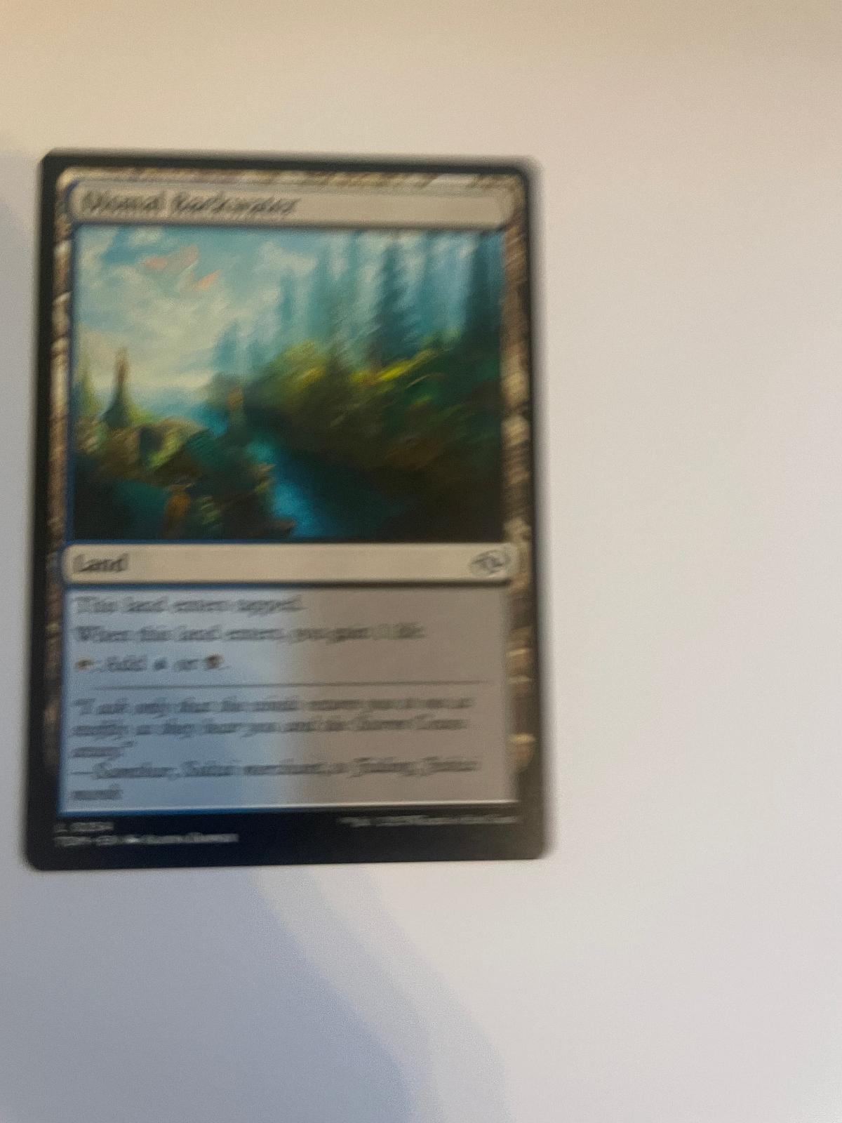 Forest (0281) 281 Secrets of Strixhaven SOS NM