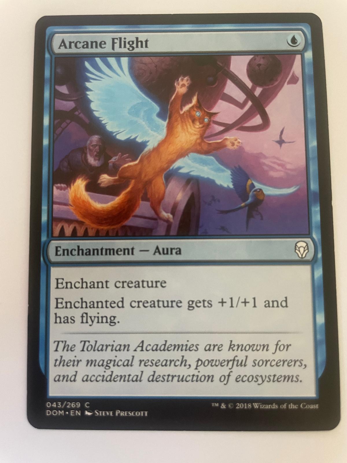 Arcane Flight 43 Common Dominaria Magic: The Gathering Near Mint