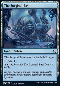 The Surgical Bay
