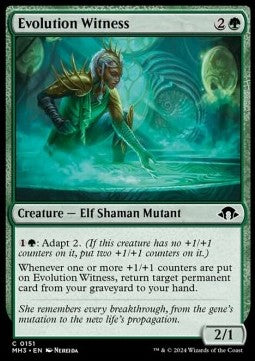 Evolution Witness
