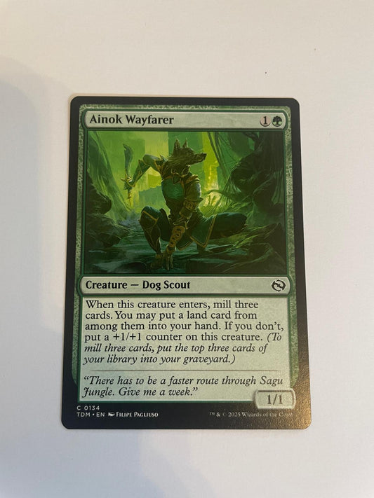 Ainok Wayfarer 134 Tarkir: Dragonstorm NM