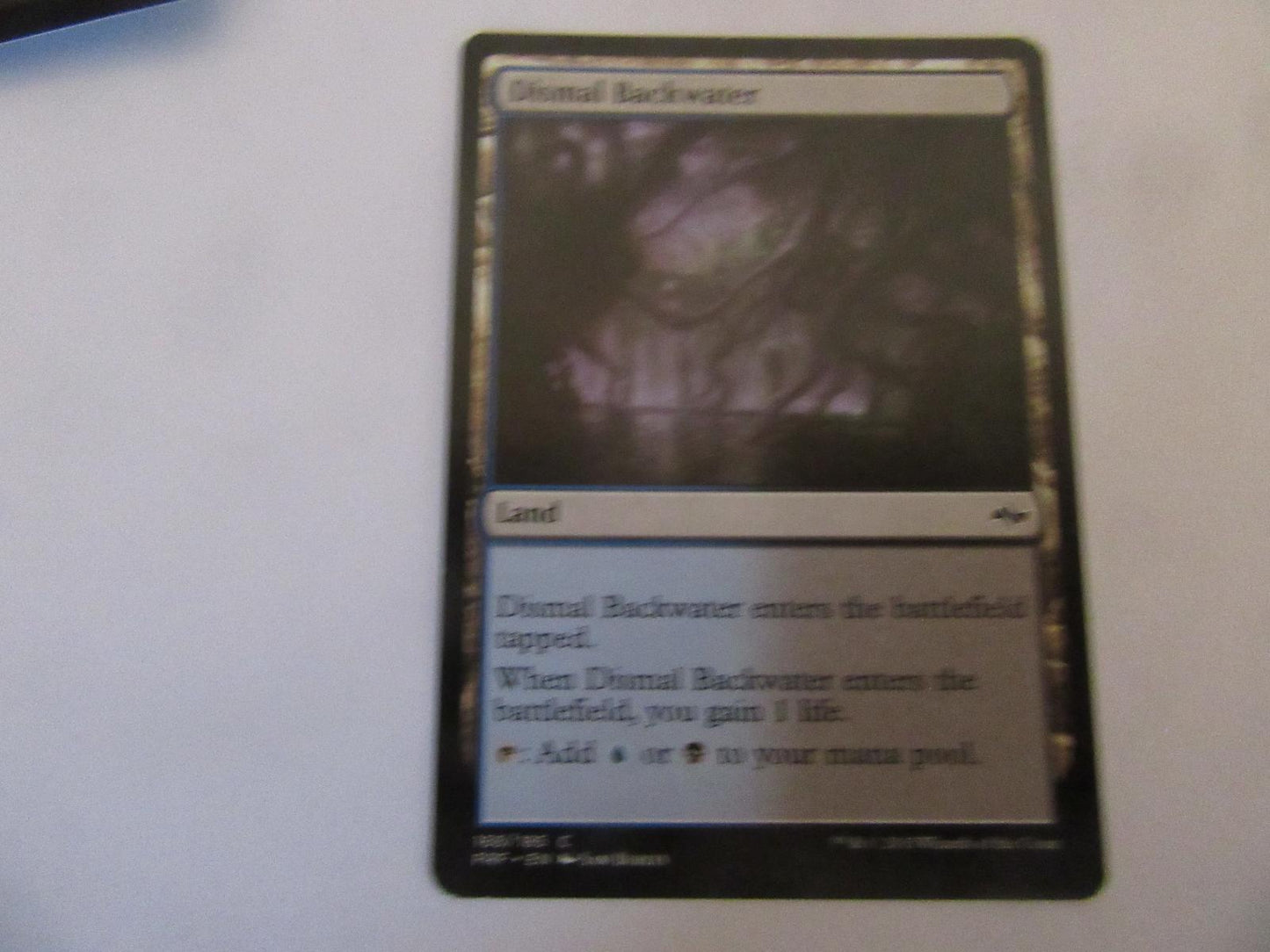Dismal Backwater 168 Fate Reforged NM
