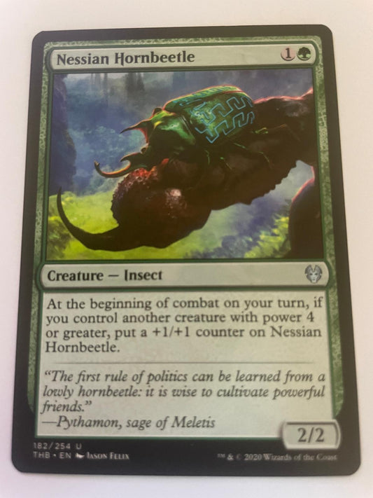 Nessian Hornbeetle 182 Uncommon Theros Beyond Death Magic: The Gathering NM