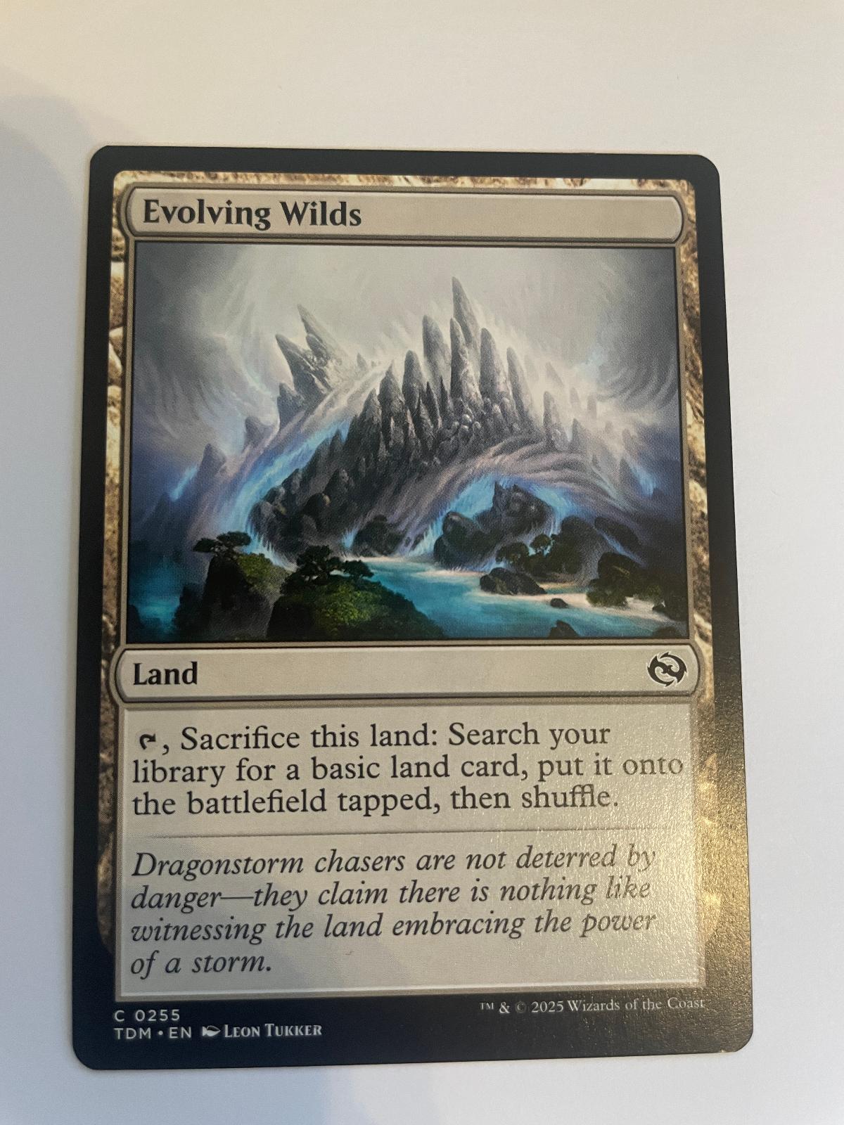 Evolving Wilds 255 Tarkir: Dragonstorm NM