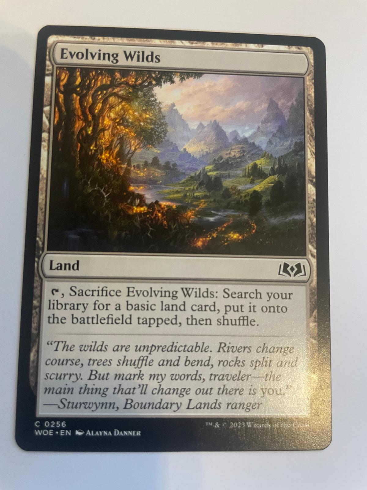Evolving Wilds 256 Wilds of Eldraine NM