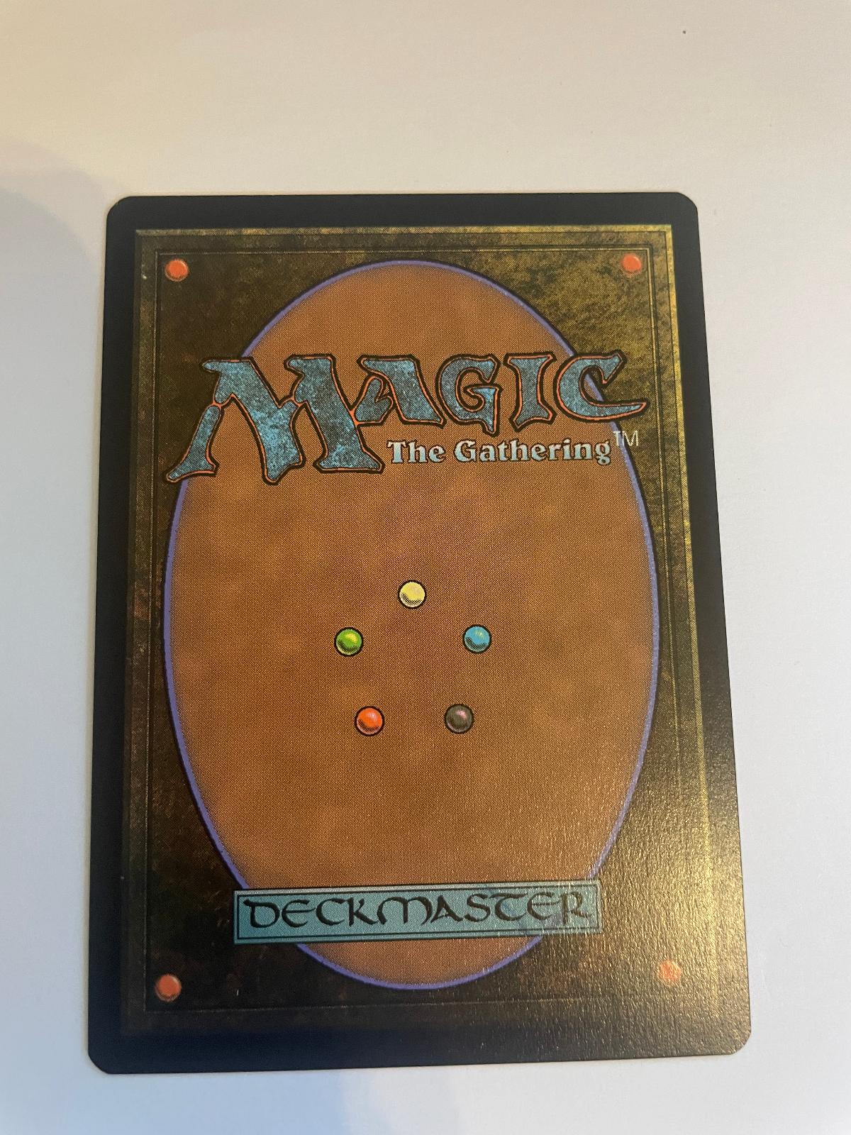 Evolving Wilds 256 Wilds of Eldraine NM