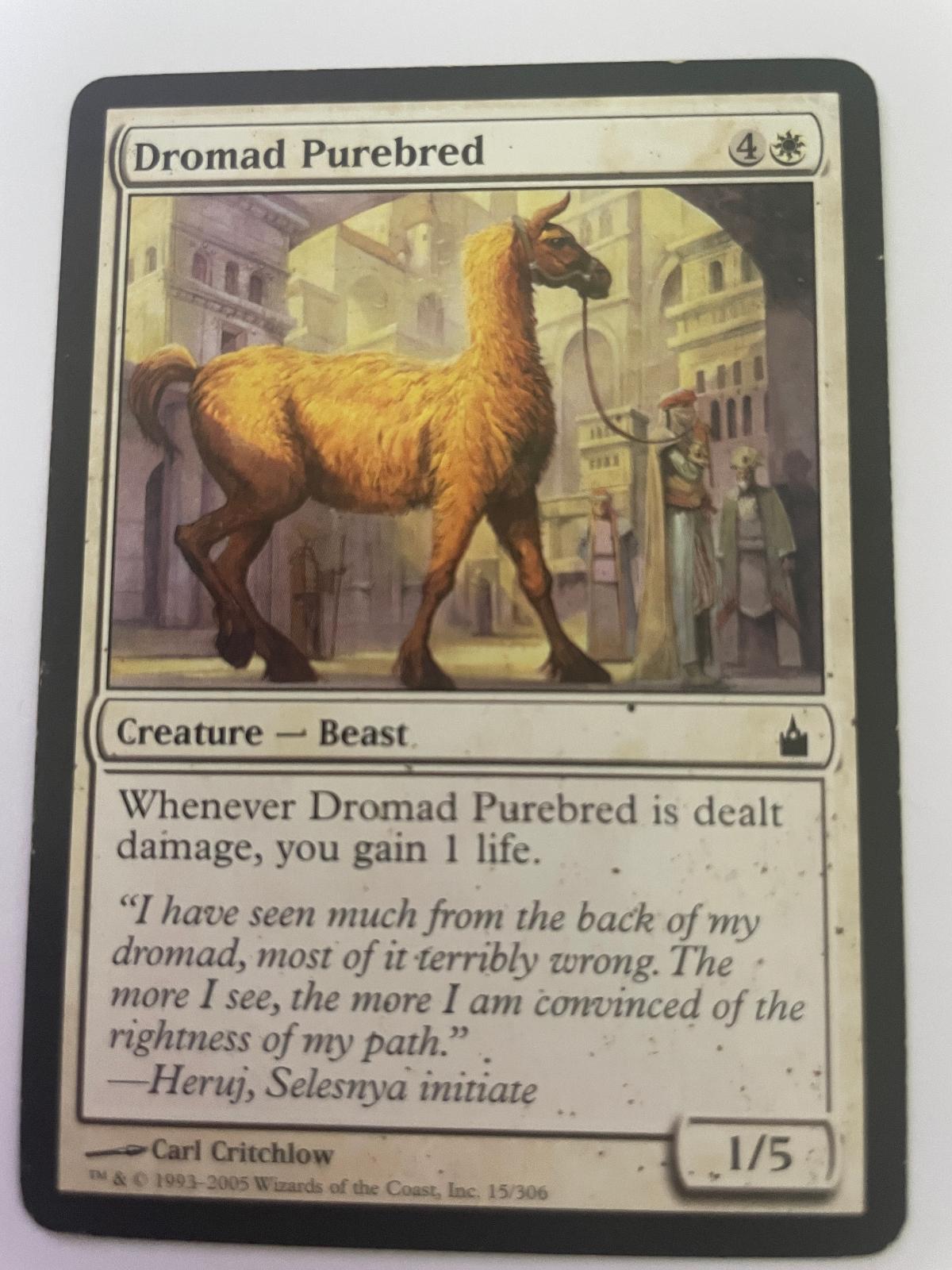 Dromad Purebred 15 Common Ravnica: City of Guilds Magic: The Gathering Near Mint