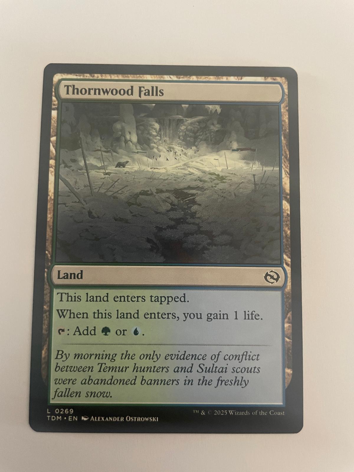 Thornwood Falls 269 Tarkir: Dragonstorm TDM NM