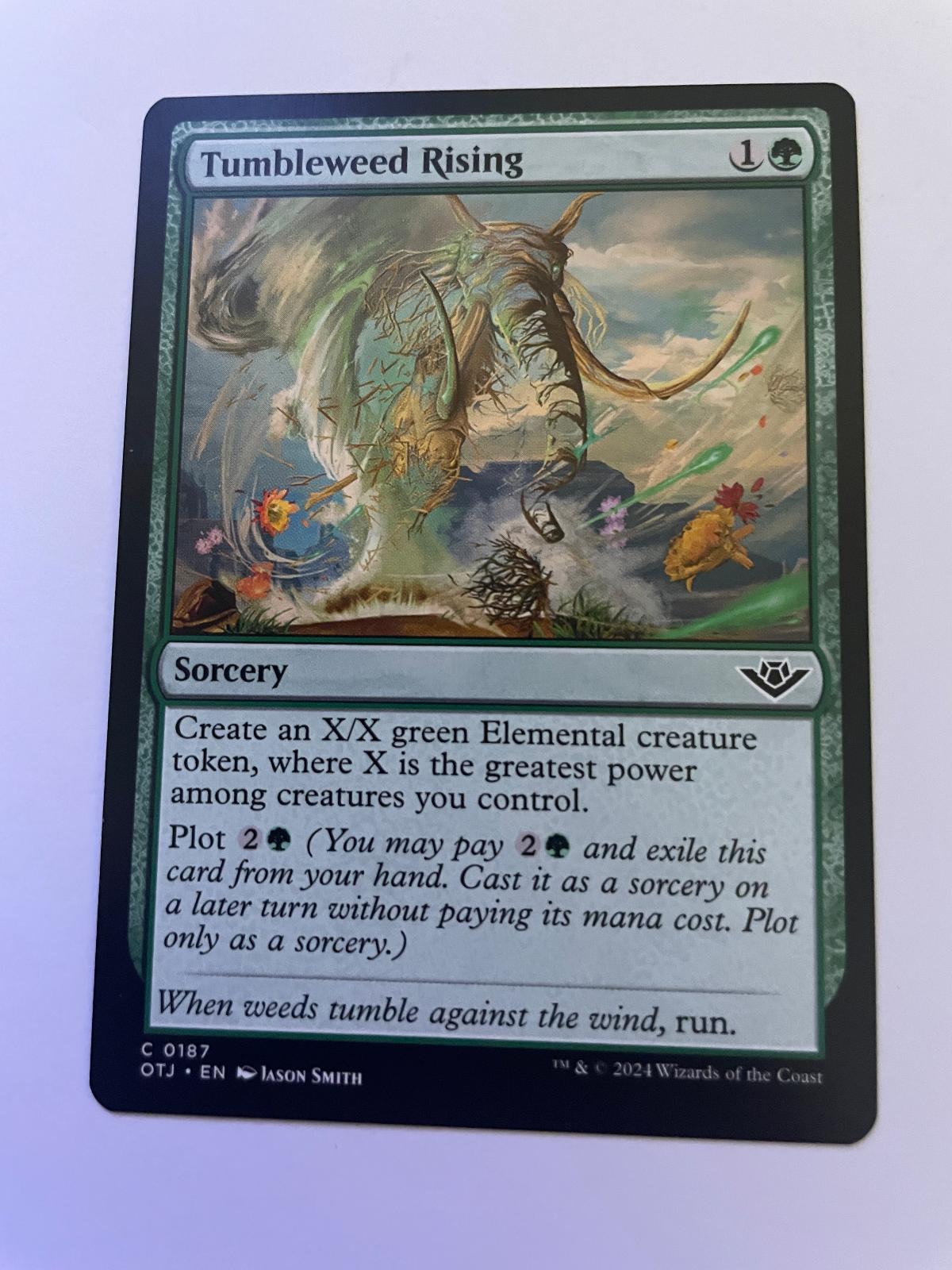 Tumbleweed Rising 187 Common Outlaws of Thunder Junction Magic: The Gathering NM